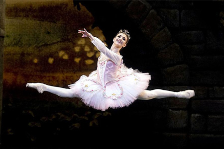 Ballet At The Met