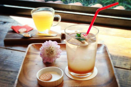 Tea and Botany