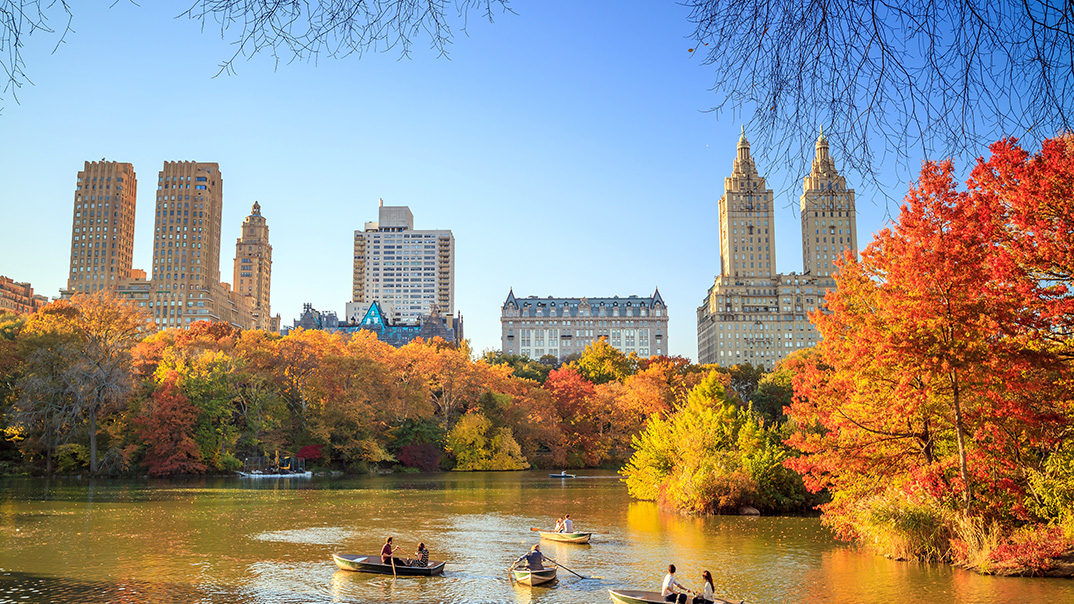 Enchanting Autumn Adventure Fall in Love with NYC