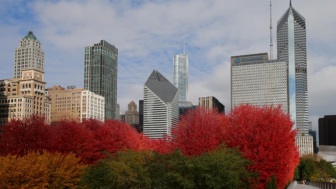 Fall Activities Chicago 2025 Lexy